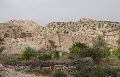 زمین لرزه شهرستان جم خسارتی به آثار تاریخی وارد نکرده است