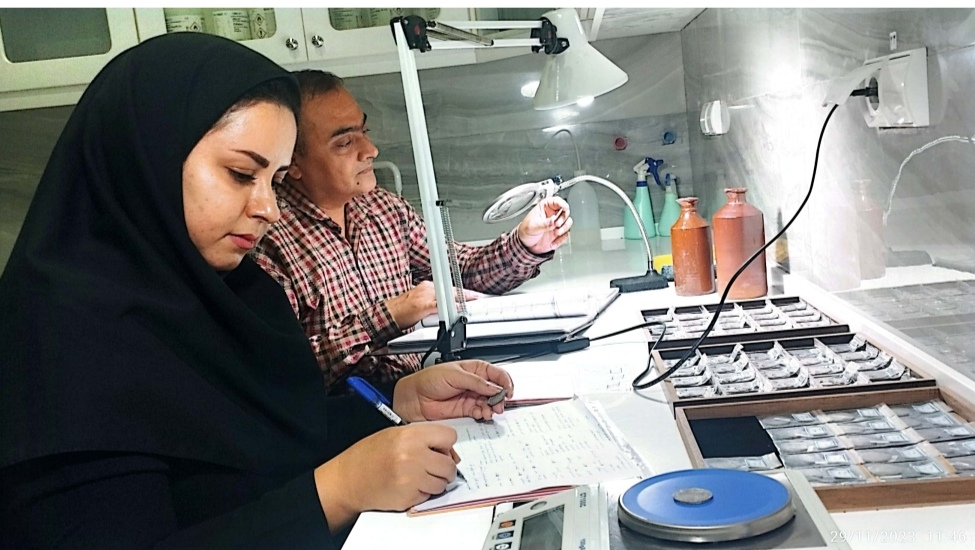 آسیب‌شناسی ۷۰۲ قطعه شی تاریخی در بوشهر